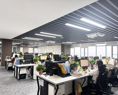 La CINA SONSILL HOLDING Profilo Aziendale