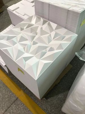 Pannelli di parete decorativi all'aperto dell'interno 3D