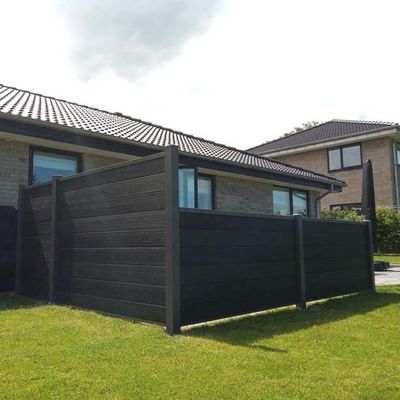 All'aperto amichevole di lusso di Eco di struttura di Wpc di parete del rivestimento di legno del pannello per la decorazione dell'iarda