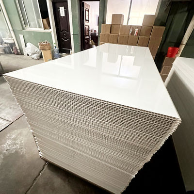 Pannelli di bagno in plastica di marmo ecologica per le pareti interne Villa appartamento bagno impermeabile