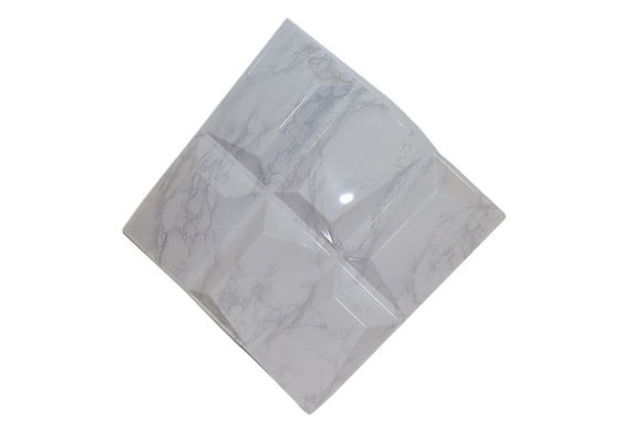 Pannello di parete moderno a prova di fuoco del PVC 3D di Art Rich Models per la decorazione dell'interno